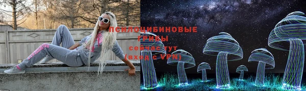 трава Аркадак