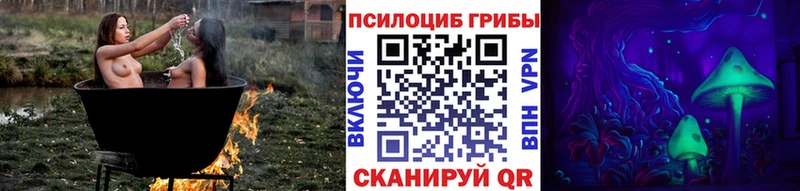 Купить закладки  Рыльск  Галлюциногенные грибы прущие грибы 