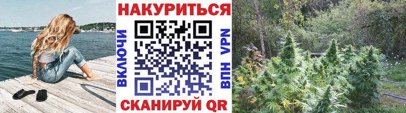 Купить закладки  Рыльск  Канабис план 